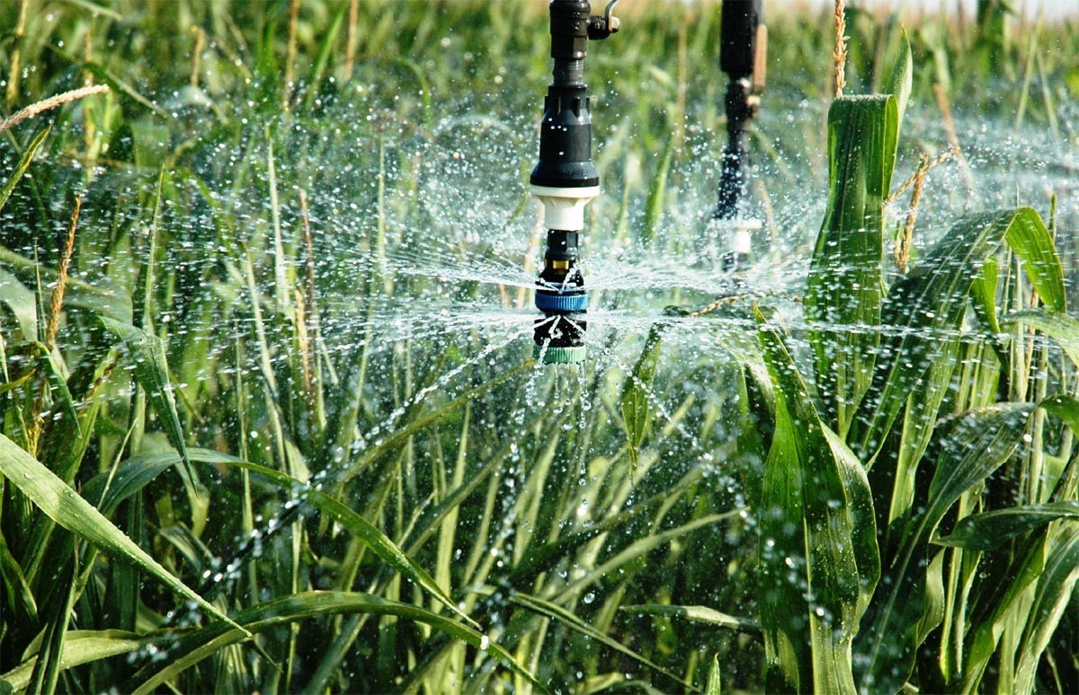 Laatste bedrijfscasus over Het stedelijke Systeem van de Gazon Intelligente Irrigatie